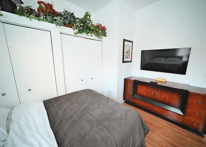 Stone Mansion Sleeps 10-20 Free Tv & Parking Chicago